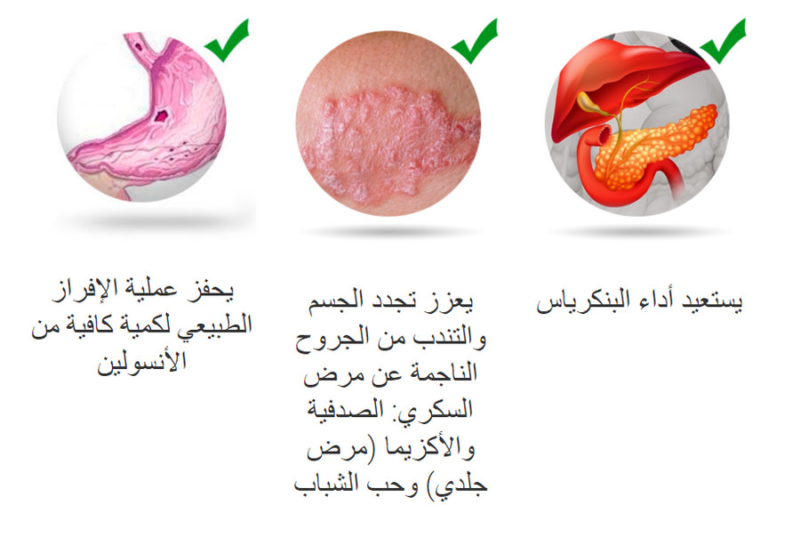 Nopal slim أساسي وشائع لدى جميع البشر الراغبين في إنقاص أوزانهم بأسهل وأسرع طريق