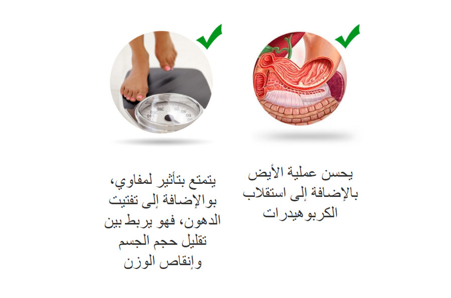 Nopal slim المغرب