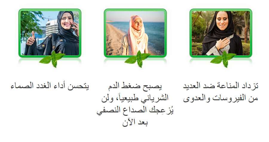 Nopal slim منتدى